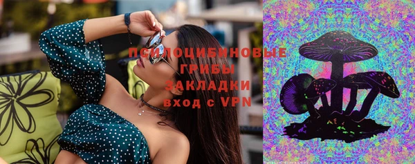 соль курить ск Гусь-Хрустальный
