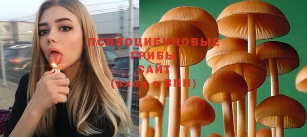 марихуана Дмитриев