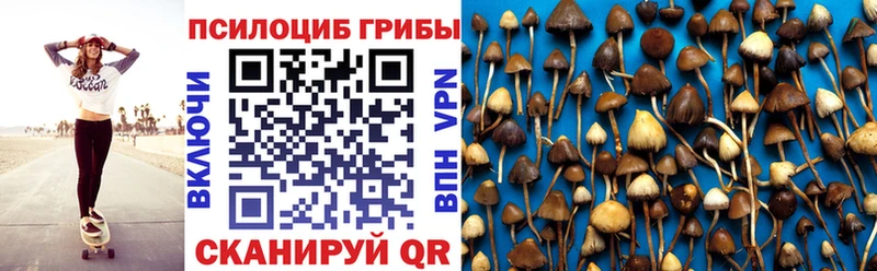 Галлюциногенные грибы GOLDEN TEACHER  дарк нет Telegram  Нахабино 